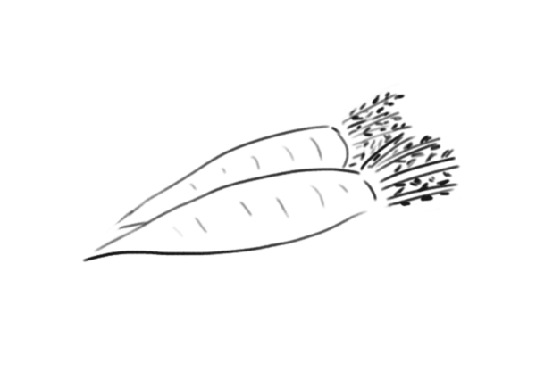 大根