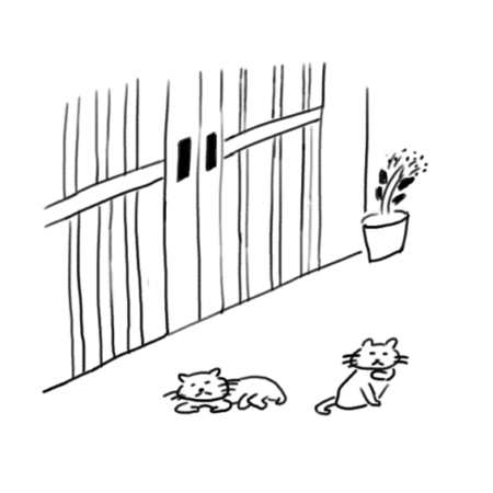 猫